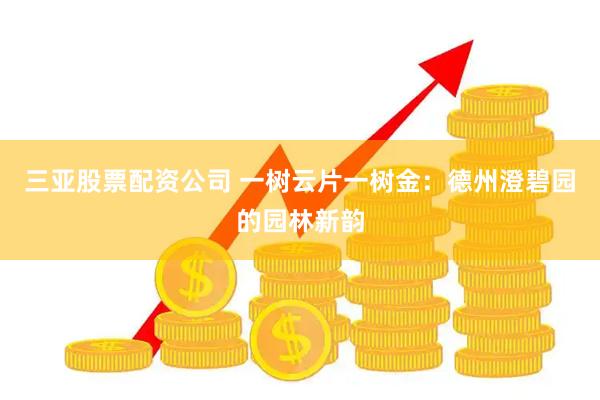 三亚股票配资公司 一树云片一树金：德州澄碧园的园林新韵
